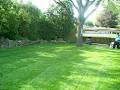 AD Landscaping & Property Maintenance INC image 4