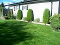 AD Landscaping & Property Maintenance INC image 1