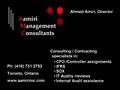 Aamiri Management Consultants logo