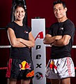 Apex Martial Arts logo