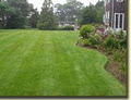 Arbutus Lawn Maintenance image 4