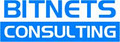 BITNetS Consulting logo