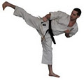 BMS Karate School logo