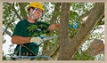 Bartlett Tree Experts Canada image 6