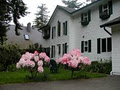 Belle Vue Bed and Breakfast image 4
