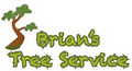 Brian's Tree Service image 2