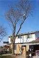 C J L Tree Service image 6