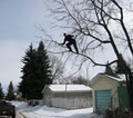 Calgary Tree Experts logo