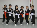 Canada Shaolin & Martial Arts Depot Inc. image 3