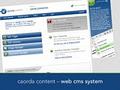 Caorda Web Design Victoria BC: Affordable Websites + Hosting & Development image 3