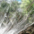 Cascadia Sprinklers image 4
