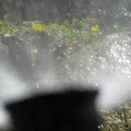 Cascadia Sprinklers image 6
