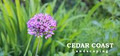 Cedar Coast Landscaping logo