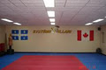 Centres d'arts martiaux Villari La Plaine logo