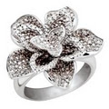 Charm Diamond Centres image 6