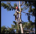 Coastline Tree Service logo
