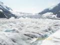 Columbia Icefield Glacier Experience image 5