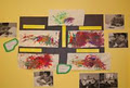 Core Education & Fine Arts Jr. Kindergarten (cefa) image 6