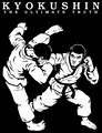 Dartmouth Kyokushin KaiKan Karate image 2