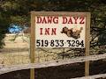 Dawg Dayz Inn image 3