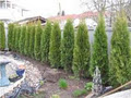 Delco Landscaping & Services image 1