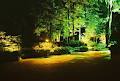 Dimarco Landscape Lighting image 4