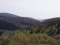 Domaine écologique du Mont Radar image 6