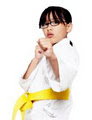 Douvris Martial Arts‎, Kickboxing & Karate image 4