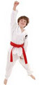 Douvris Martial Arts‎, Kickboxing & Karate logo