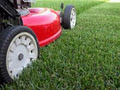 Easy Cuts Lawn Care image 1