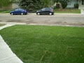 Edmonton Sod Supply image 2