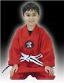 Elite International Martial Arts image 6