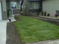 Evergreen Landscaping image 1