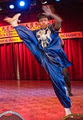 Feng Huang Wushu Club image 6