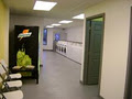 Forest Laundromat image 2