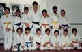 Global Karatedo - Mississauga Shotokan Karate School image 2