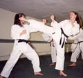 Global Karatedo - Mississauga Shotokan Karate School logo
