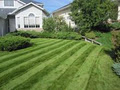 GreenEdge lawn care image 2