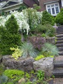 Greenbloom Landscaping image 3