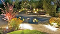 Greenteam Landscaping Inc - West Island image 5