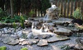 Ideal Landscape Services image 1