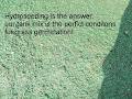 Insta-Lawn Hydro Seeding image 3