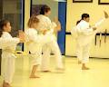Iseke School of Karate logo