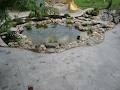 John's Pools And Ponds image 3