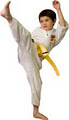 Karate, Kickboxing, MMA, Tai Chi, Mississauga (Port Credit) image 2