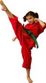 Karate, Kickboxing, MMA, Tai Chi, Mississauga (Port Credit) image 5