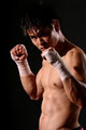 Karate, Kickboxing, MMA, Tai Chi, Mississauga (Port Credit) image 6