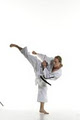 Karate (SFU: Application Karate) image 2