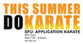 Karate (SFU: Application Karate) image 4