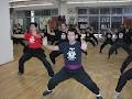 Kung-Fu Sil Lum Hung Gar image 6